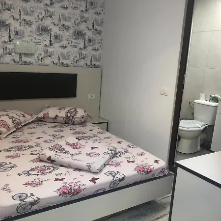 Guest house Casa Simona Constanta